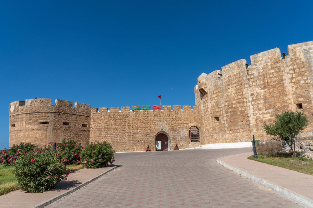 safi3.jpg